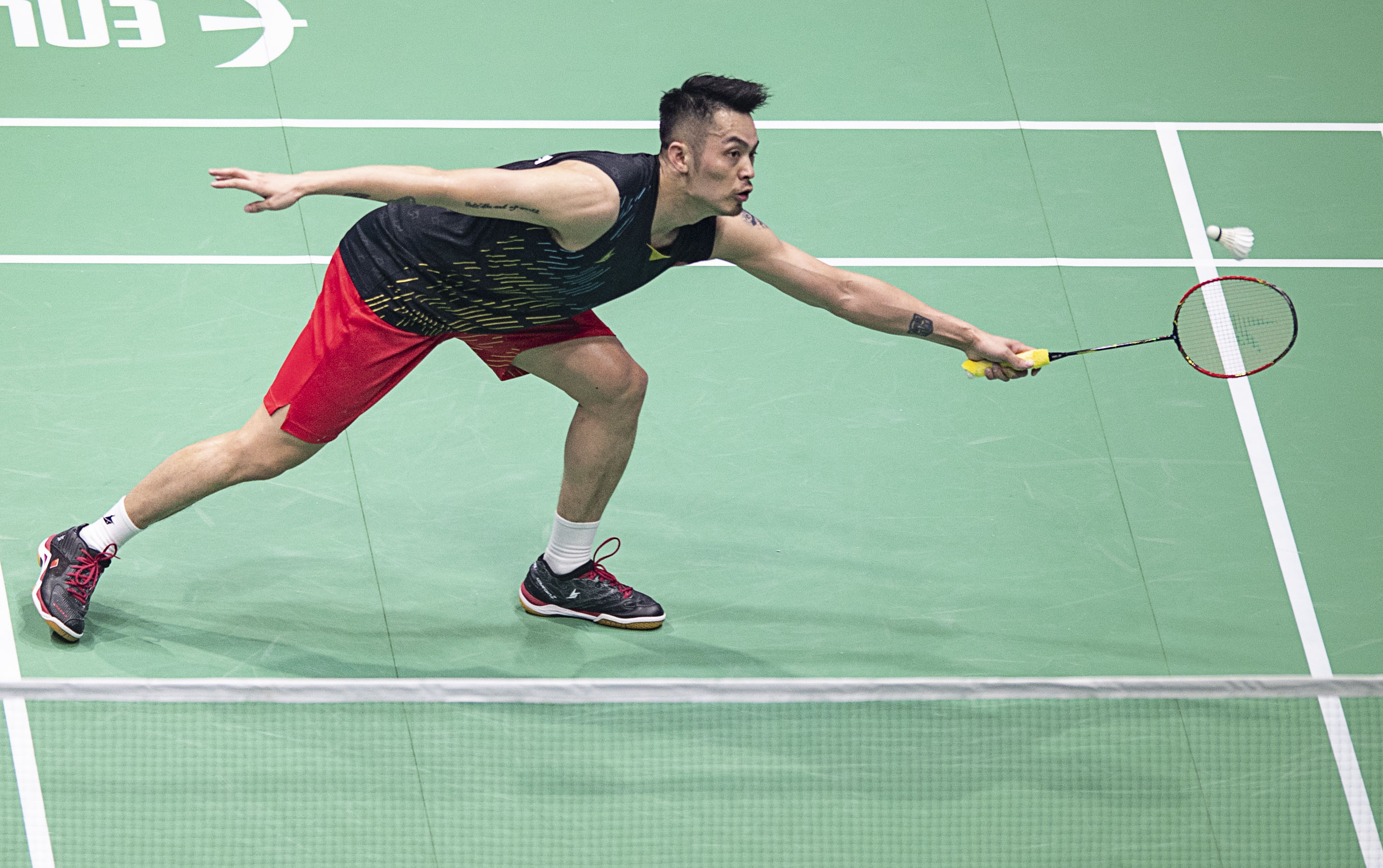 现出较为稳 现出较为稳